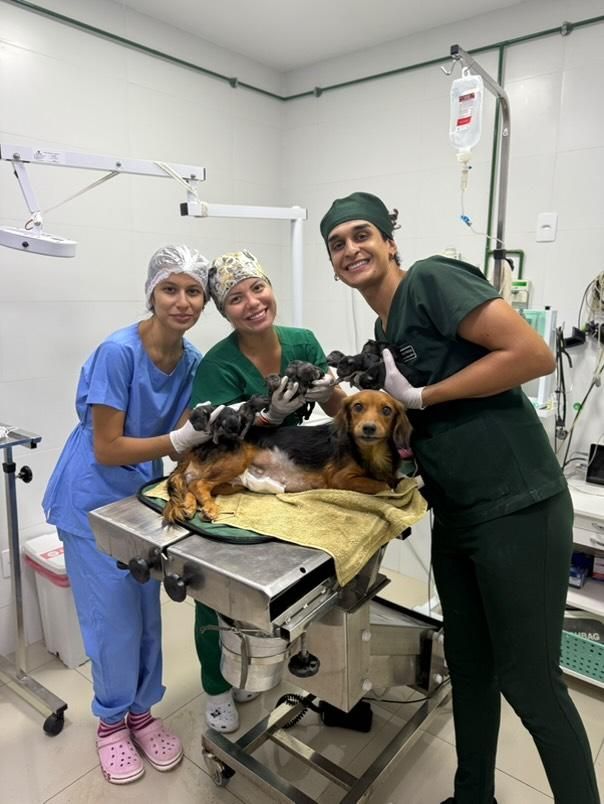 Acompanhamento Pós Operatório