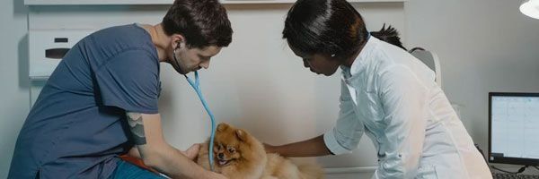 Dermatologista